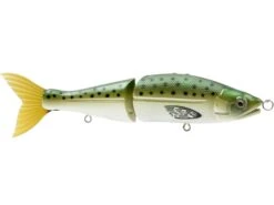 Venom 6 SW -Rod Reel Kit Sales Store cTwnurRwJedrwJL XBziCEGAI