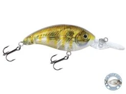 Deep Impact 6 13 Deep Impact 6 -Rod Reel Kit Sales Store cX4y AqCcpXgv8v94FHKGfIH0