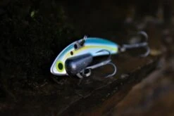 SteelShad Mini - 1/4 Oz - Sexy Shad (2pk) -Rod Reel Kit Sales Store d5VPEjrJQFcAHXX8YdFFwwxeU