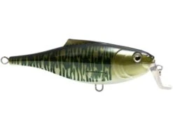 BullDozer -Rod Reel Kit Sales Store d7MK7KbiGseYE4itwWca4hMI4