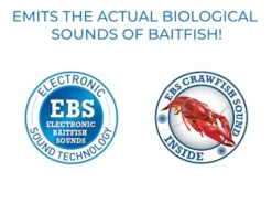 Howeller DMC SQ -Rod Reel Kit Sales Store elGQtG6sf7OAdDm0z0lPocRn8