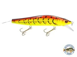 Flipper 105G -Rod Reel Kit Sales Store fATRBgvu8pcnK4UvCZKwyRWCw