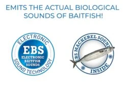 Big Poppa 6 -Rod Reel Kit Sales Store fSowPe8J3VdclQllBE8yjGtwE