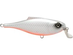 BullDozer -Rod Reel Kit Sales Store gEDbWCt7H40lK5WXRlVz9vEuM