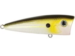 Walk N Pop 67 -Rod Reel Kit Sales Store gFmKH3Khv0PH 5cCUy4I9XkBg