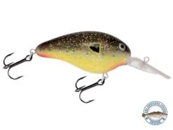 Dive Master 14 -Rod Reel Kit Sales Store gSJTEogxhzLBn8PYBiOUloyWc