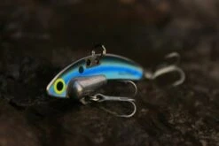 SteelShad Mini - 1/4 Oz - Kentucky Shad (2pk) -Rod Reel Kit Sales Store h7GG ze22DEsRfFHh27vkh4Lc