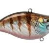 Z-Series Lipless Crankbait