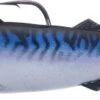 Atlantic Mackerel Swimbait