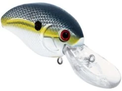 Howeller DMC Plus -Rod Reel Kit Sales Store jp5QBnhSLyDSC15mj DBAig54