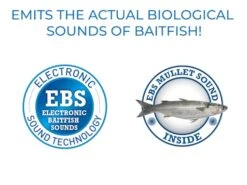 Venom 6 SW -Rod Reel Kit Sales Store jzHK 7Wh7b1q77FBa9MAQYJn0 1