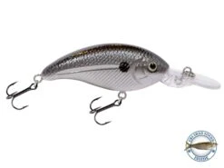 Deep Impact 6 19 Deep Impact 6 -Rod Reel Kit Sales Store kgKm6GNFVdxBrSWzMGqLye7jI