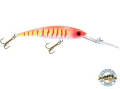 Interceptor -Rod Reel Kit Sales Store kyhpGX5xEE8rx rfeSwe62 RU