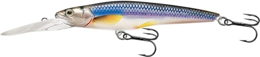 Rainbow Smelt Jerkbait Deep Dive 1 Rainbow Smelt Jerkbait Deep Dive