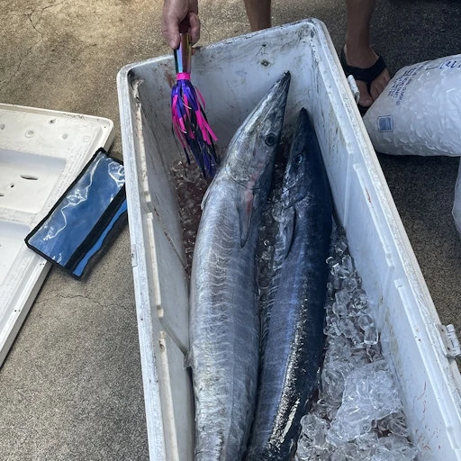 All Speed Wahoo Lure GI-24 3 All Speed Wahoo Lure GI-24 - Image 3