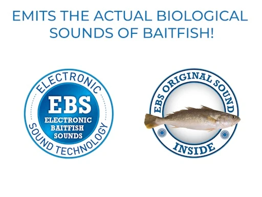 Primetyme CB 1.5 2 Primetyme CB 1.5 - Image 2