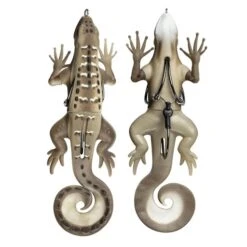 Skitter Lizard -Rod Reel Kit Sales Store njDxkJgS8a pZrDy IjOyzke8