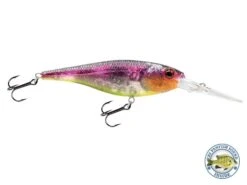 EBS Walleye 90 -Rod Reel Kit Sales Store pWmuR GJAJmWl5Ci7Dps8RA1Y