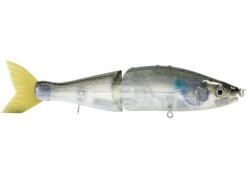 Venom 6 SW -Rod Reel Kit Sales Store qfNFdnkzz5vI9HUFhPcIpkM g