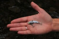 SteelShad Mini - 1/4 Oz - White Shad (2pk) -Rod Reel Kit Sales Store r8WYQRuVWYhsOvBz6UoIIEPRc