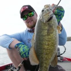 SteelShad Mini - 1/4 Oz - Sexy Shad (2pk) -Rod Reel Kit Sales Store s KPxQTT7D3wHMh6axIx430Oc