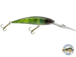 Interceptor -Rod Reel Kit Sales Store t4orgEpilsEPmYmSb5JMUbuto