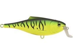 BullDozer -Rod Reel Kit Sales Store vLpJUvjLQWZBIEGIoriI3KfV8