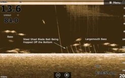 SteelShad Mini - 1/4 Oz - Kentucky Shad (2pk) -Rod Reel Kit Sales Store x059z1QAmNyuahzLFVHARsZA4