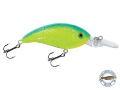 Deep Impact 6 16 Deep Impact 6 -Rod Reel Kit Sales Store xW I9QCmSM0CWYEiH8ncZAdas