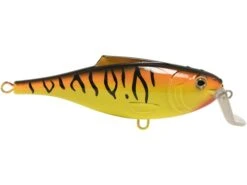 BullDozer -Rod Reel Kit Sales Store yPgakrXLkjnEVBQHbFI9bJXe8